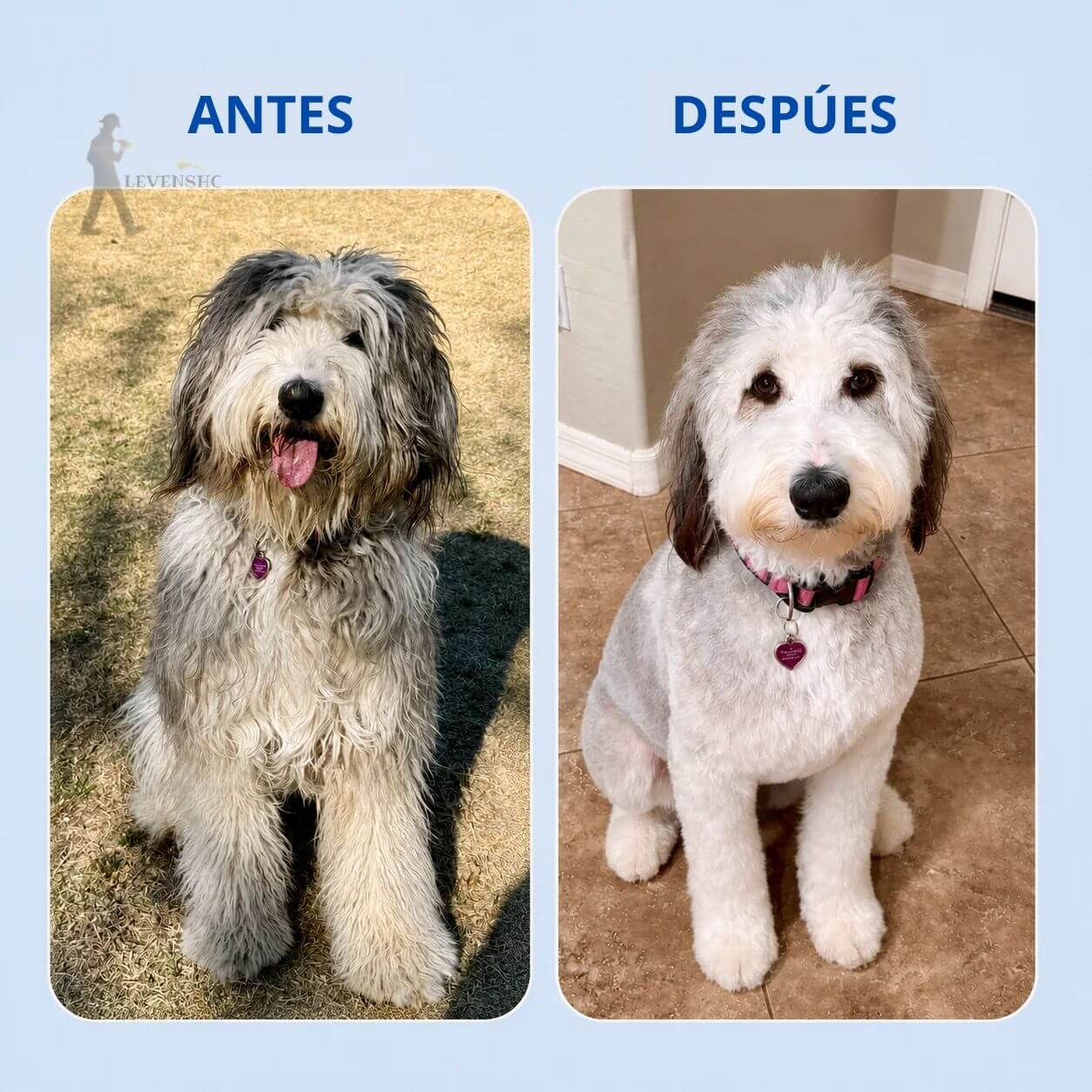 CorteFácil Pro - Ahorra en peluquería, hazlo tú mismo